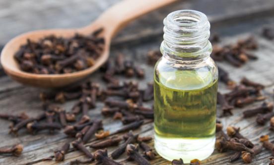 2023中国植物香料行业市场全景调研分析