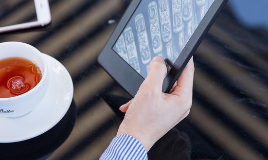 电子书阅读器行业发展现状及前景分析2023