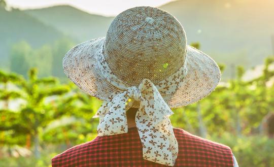 中国帽子行业市场发展现状 帽子行业市场发展趋势