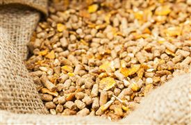 2023饲料添加剂行业发展现状与趋势分析