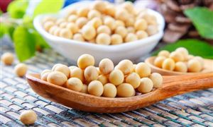 中国大豆行业发展前景 中国大豆行业产量分析