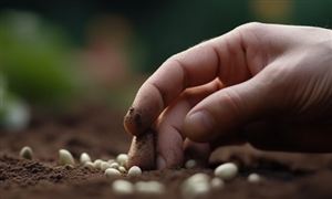 活性白土行业市场发展现状调查及供需格局