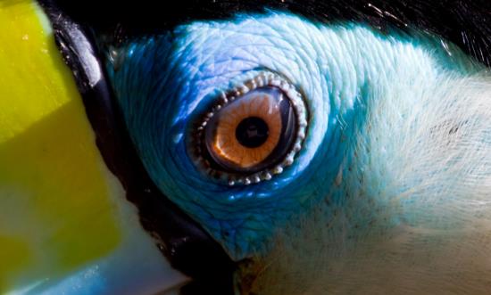 中国干眼检测治疗设备产业链发展现状 中国干眼检测治疗设备市场需求分析