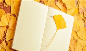 叶黄素行业市场深度分析2023