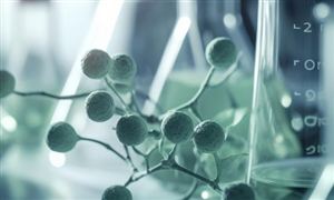 2023乳酸菌制剂市场前景 乳酸菌制剂行业未来前瞻分析