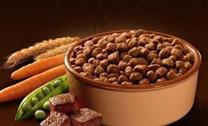 2023宠物食品行业发展现状前景分析