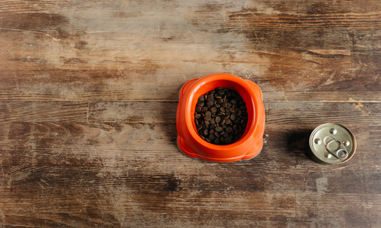 宠物罐头发展趋势、宠物罐头市场大吗? 国内宠物罐头行业市场规模分析