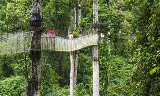 绿色生态行业发展现状及未来战略前景