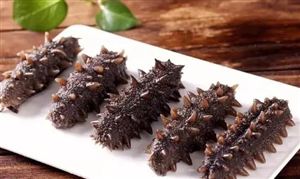 海参行业发展现状前景及投资分析