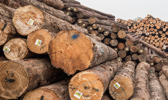 2023人造木行业市场需求及未来发展前景