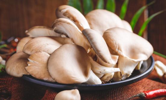 食用菌行业分析 平菇行业市场发展现状分析2023