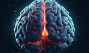 脑机接口行业市场规模及发展前景分析2023