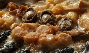 营养品项目市场需求预测 2023营养品项目可行性研究