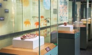 中国博物馆行业供给能力分析 博物馆行业发展热点