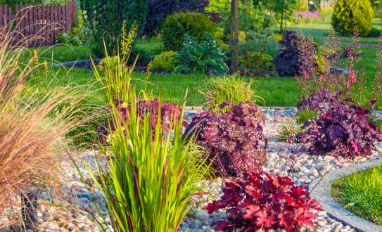 2023年中国园林养护行业市场发展现状