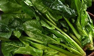 中国绿色蔬菜行业发展趋势 中国绿色蔬菜行业发展前景分析