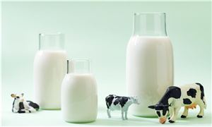 蒙牛乳业宁夏工厂正式落成投产 为全球首座乳业全数智化工厂