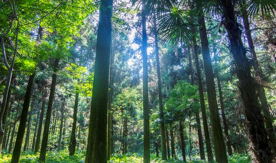 2023年氧气行业市场发展现状分析