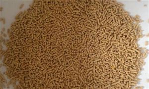 饲料产业园区发展 产业招商规划资源发展方向 饲料原料产业园区发展规划及招商引资咨询报告