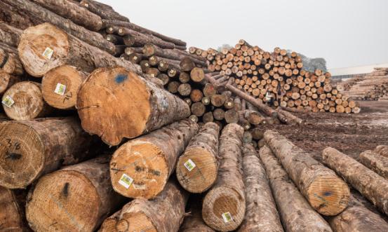 中国废旧木材市场深度全景调研分析2023