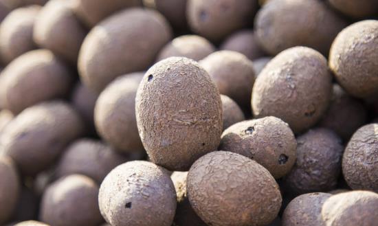 2023陶粒行业发展现状前景分析