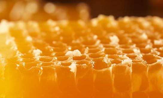 2023中国蜂蜡行业市场发展现状分析