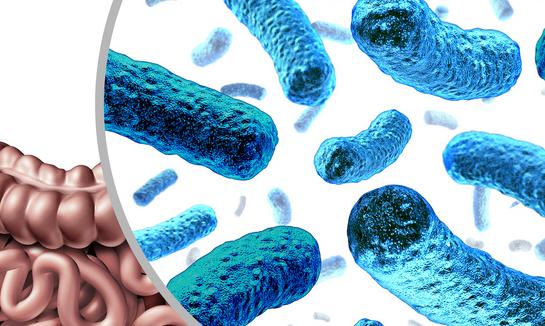 中国益生菌酸奶行业市场发展现状 益生菌酸奶行业市场投资价值评估