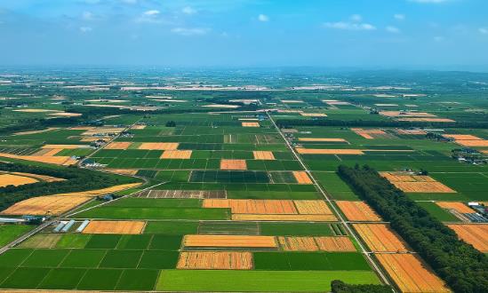 2023农业产业化联合体行业发展现状及投资分析