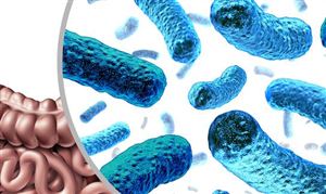 数据显示 益生菌市场平均年增速约为15% 益生菌酸奶行业市场发展现状分析