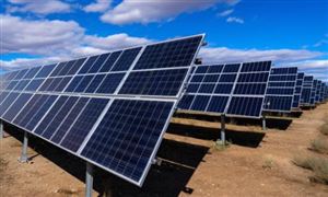 2023中国光伏背板行业深度调研分析