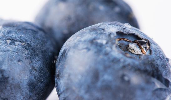 2023年抗氧化剂市场投资前景分析