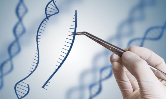 生物工程行业发展现状及生物工程行业深度分析2023