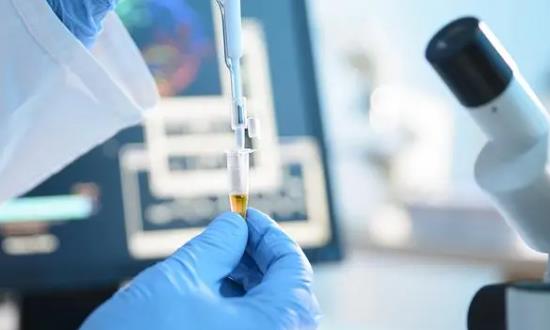 2023抗菌肽畜牧行业发展前景及投资规划研究