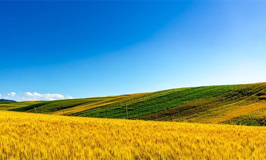 国家金融监督管理总局：全国涉农贷款同比增长16.4%