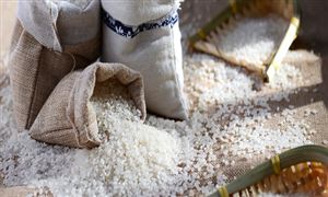 大米行业调研 大米行业供需现状分析2023