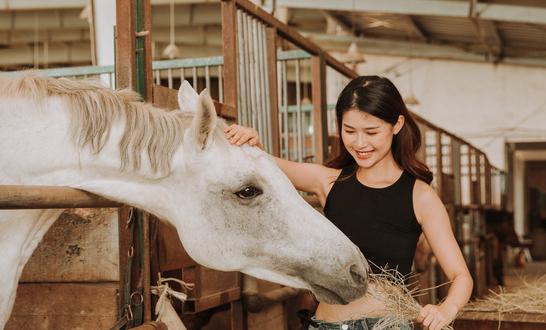 禽饲料市场发展现状 2023年禽饲料市场投资前景分析