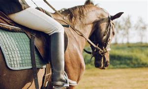 2023年国内马术俱乐部行业发展现状 马术俱乐部行业经营分析