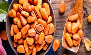 休闲食品调研　松子行业市场消费现状及行业未来发展趋势