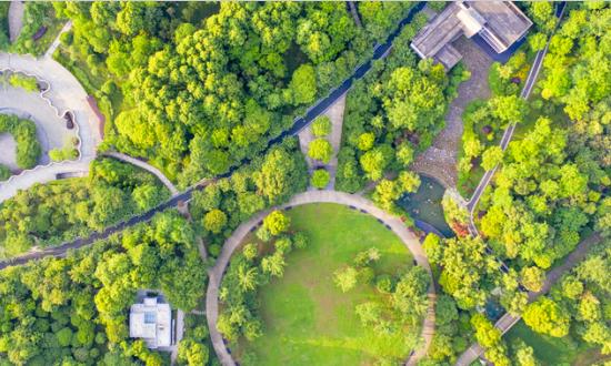 2023化学农药市场发展现状及供需格局分析