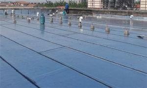 防水建材行业发展前景投资分析