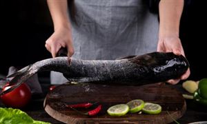 生鲜行业市场深度分析 2023生鲜行业市场发展现状