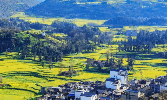 中国田园综合体开发建设模式分析 中国田园综合体发展前景预测