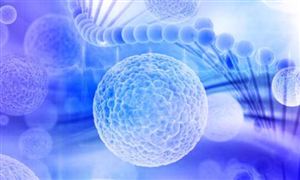细胞免疫疗法即将临床使用 治疗癌症优势明显 是创新药领域研发的细分赛道