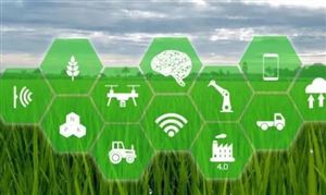 数字乡村发展规划 数字乡村行业市场前瞻及投资分析