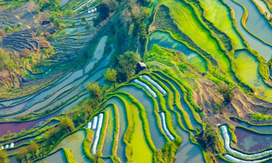 农业旅游产业深度调研及现状分析2023