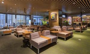 共享经济行业深度分析及共享经济行业细分领域分析2023