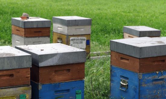 细胞农业行业市场前景和现状分析2023