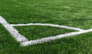 2023年国内人造草坪行业发展现状调研及发展前景分析