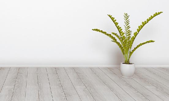 2023年国内强化地板行业发展现状与前景分析