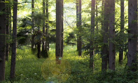 环保监测仪器行业发展前景预测及市场规模分析